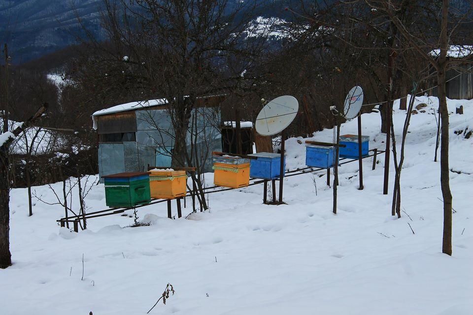 Гостевой дом ILORI RACHA Они-40